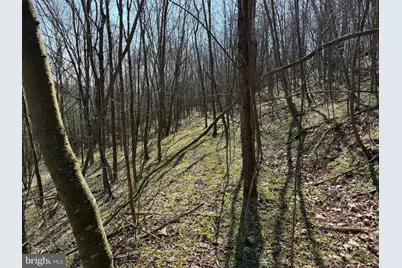 129+/- Acres Black Hollow Rd, Schellsburg, PA 15559 - Photo 40