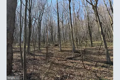 129+/- Acres Black Hollow Rd, Schellsburg, PA 15559 - Photo 50