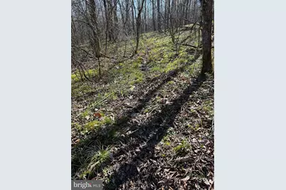129+/- Acres Black Hollow Rd, Schellsburg, PA 15559 - Photo 70