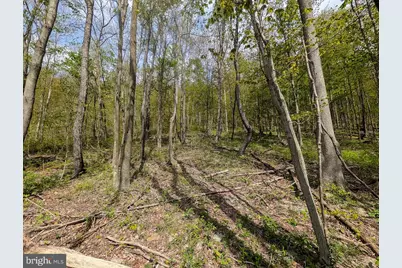 119 Heavens View Road, Schellsburg, PA 15559 - Photo 26