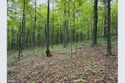 55Ac Main Road, Bedford, PA 15522 - Photo 10