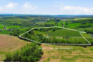 2039 Bethel Hollow Rd, New Paris, PA 15554 - Photo 38