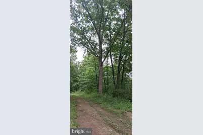 234 Coastline Rd., Everett, PA 15537 - Photo 16