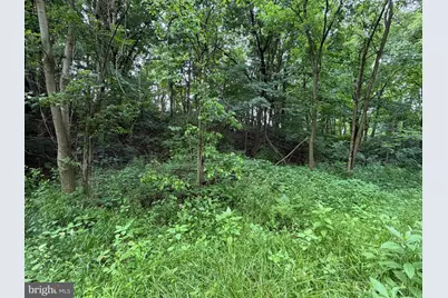 00 Monroe Street, Everett, PA 15537 - Photo 10