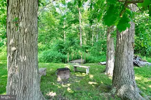 11352 Raystown Rd, Saxton, PA 16678 - Photo 44