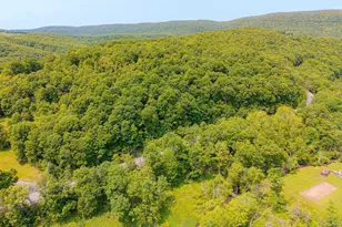 930 Osman Rd, Alum Bank, PA 15521 - Photo 52