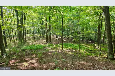Mosquito Road, Six Mile Run, PA 16679 - Photo 22