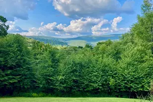295 Shaffer Rd, Imler, PA 16655 - Photo 2