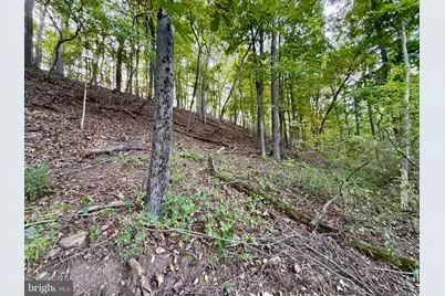 588 Earlston Road, Everett, PA 15537 - Photo 46