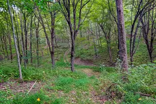 1077 Queen Rd, Claysburg, PA 16625 - Photo 84