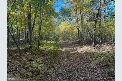 Lot 4 Dudley Road, Six Mile Run, PA 16679 - Photo 22