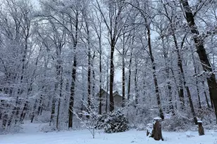 6 Whitetail Dr, Robesonia, PA 19551 - Photo 58