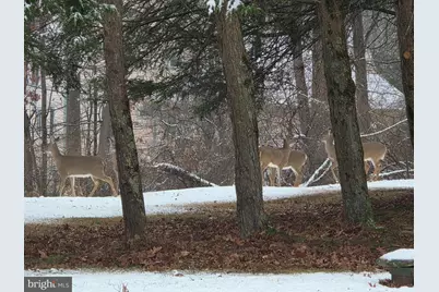 360 Pheasant Road, Mohnton, PA 19540 - Photo 26