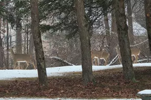 360 Pheasant Rd, Mohnton, PA 19540 - Photo 26