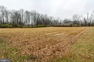 555 Lincoln Dr, Wernersville, PA 19565 - Photo 20