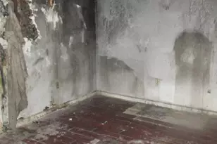 329 Chester Ave, Birdsboro, PA 19508 - Photo 16