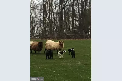 220 Dietrich Road, Kempton, PA 19529 - Photo 94