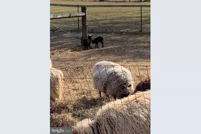 220 Dietrich Road, Kempton, PA 19529 - Photo 92