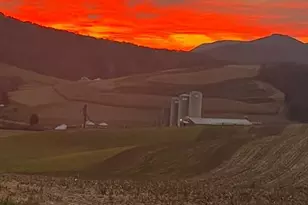 220 Dietrich Rd, Kempton, PA 19529 - Photo 98