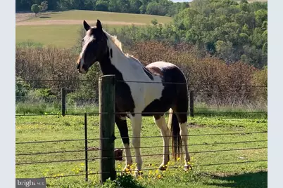 220 Dietrich Road, Kempton, PA 19529 - Photo 100