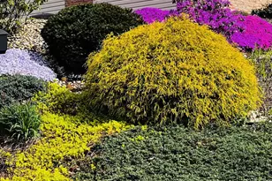 410 Friedensburg Rd, Reading, PA 19606 - Photo 18