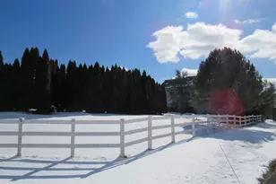 17 Wilt Rd, Bechtelsville, PA 19505 - Photo 36