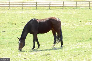 739 S Main St, Oley, PA 19547 - Photo 6