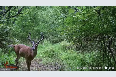 181 Fort Road, Bernville, PA 19506 - Photo 42