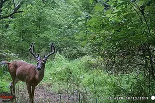 181 Fort Rd, Bernville, PA 19506 - Photo 42