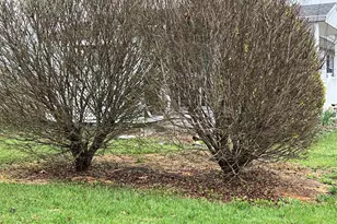 2 Locust Ln, Womelsdorf, PA 19567 - Photo 36