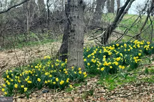 444 N Heidelberg Rd, Robesonia, PA 19551 - Photo 46