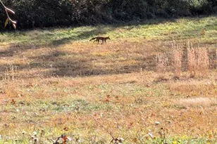 8640 Hensingersville Rd, Macungie, PA 18062 - Photo 28