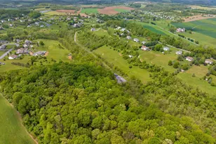 739 Boar Rd, Mohrsville, PA 19541 - Photo 12