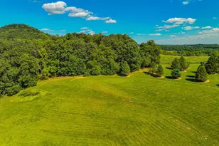 63 Long Rd, Lenhartsville, PA 19534 - Photo 18