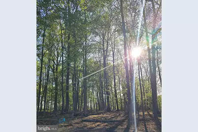 Lot (# 1) 6465 Greenhill Road, Lumberville, PA 18933 - Photo 6