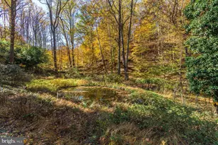 6615 Greenhill Rd, Lumberville, PA 18933 - Photo 78