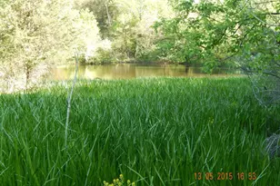 295 E Dark Hollow Rd, Pipersville, PA 18947 - Photo 2