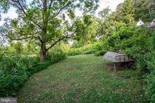 3596 River Rd, Lumberville, PA 18933 - Photo 44