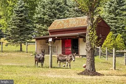 3791 Hunter Road, Kintnersville, PA 18930 - Photo 50