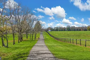 1315 Pineville Rd, New Hope, PA 18938 - Photo 6