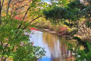 1268 Dogwood Dr, Jamison, PA 18929 - Photo 58