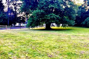 34 Houk Rd, Doylestown, PA 18901 - Photo 54