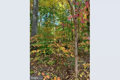 2220 Old Bethlehem Pike #F, Sellersville, PA 18960 - Photo 16