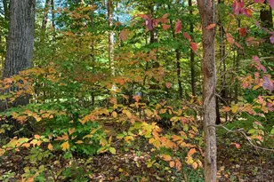 2220 Old Bethlehem Pike, Sellersville, PA 18960 - Photo 16