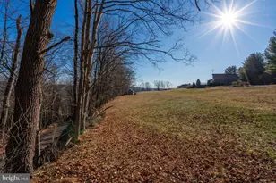 77 Uhlerstown Hill Rd, Erwinna, PA 18920 - Photo 36