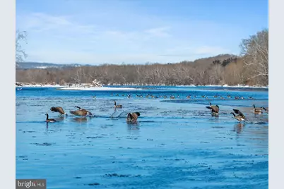 2 Cedar Lane, Erwinna, PA 18920 - Photo 46