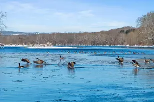 2 Cedar Ln, Erwinna, PA 18920 - Photo 46