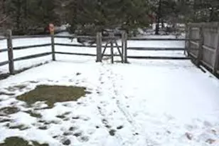 4908 Tall Cedar Ct, Pipersville, PA 18947 - Photo 30