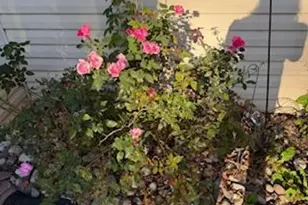 1301 Albright Dr, Yardley, PA 19067 - Photo 32