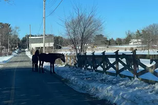 46 Buck Dr, Kintnersville, PA 18930 - Photo 24